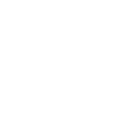 Icon Sea Freight
